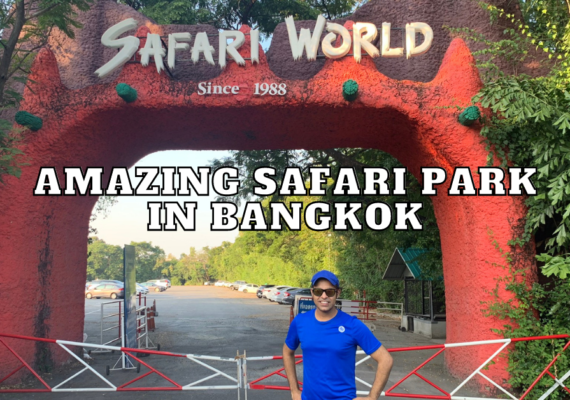 AmaZING-safari-park-IN-BANGKOK