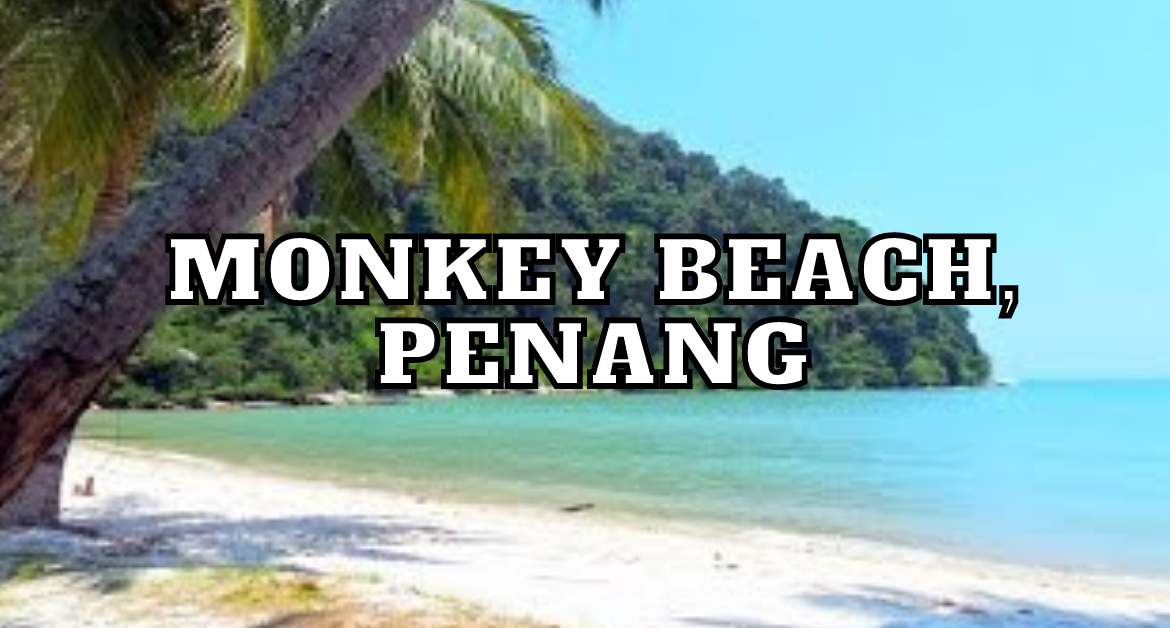 monkey_beach_in_penang