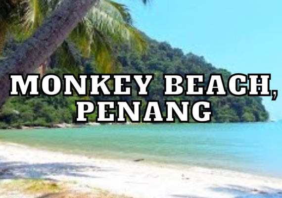 monkey_beach_in_penang