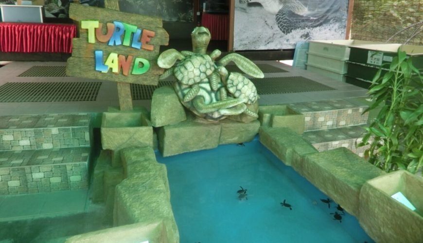 Pantai Kerachut- Turtle Beach, Penang