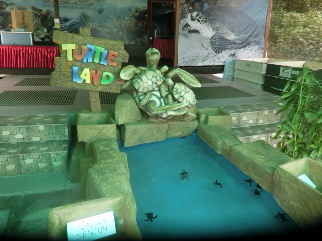Pantai Kerachut- Turtle Beach, Penang