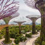 5 MUST LOCATION TO VISIT IN SINGAPORE