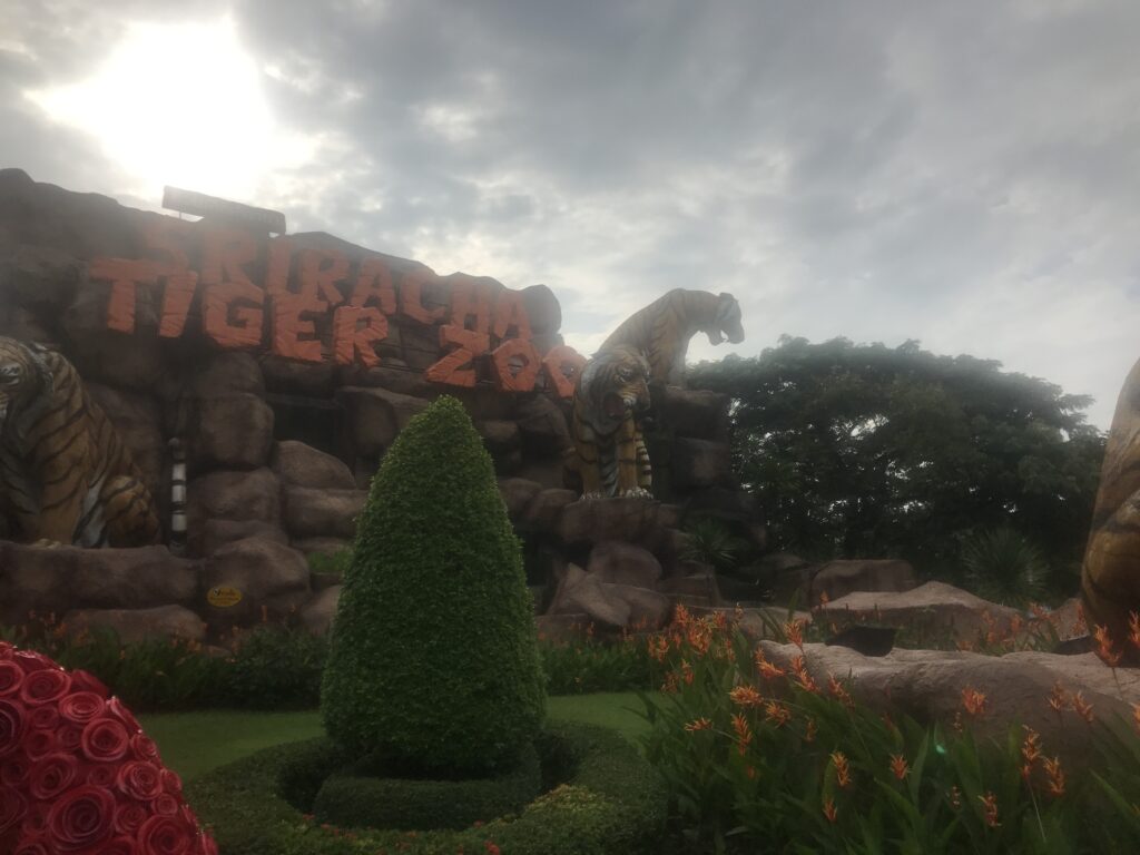 All About Sriracha Tiger Zoo, Pattaya