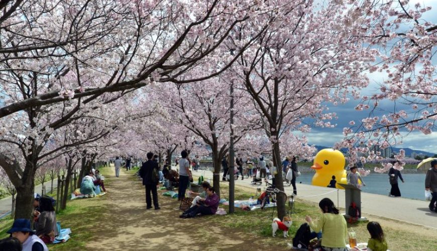 What is the right time to visit Osaka?