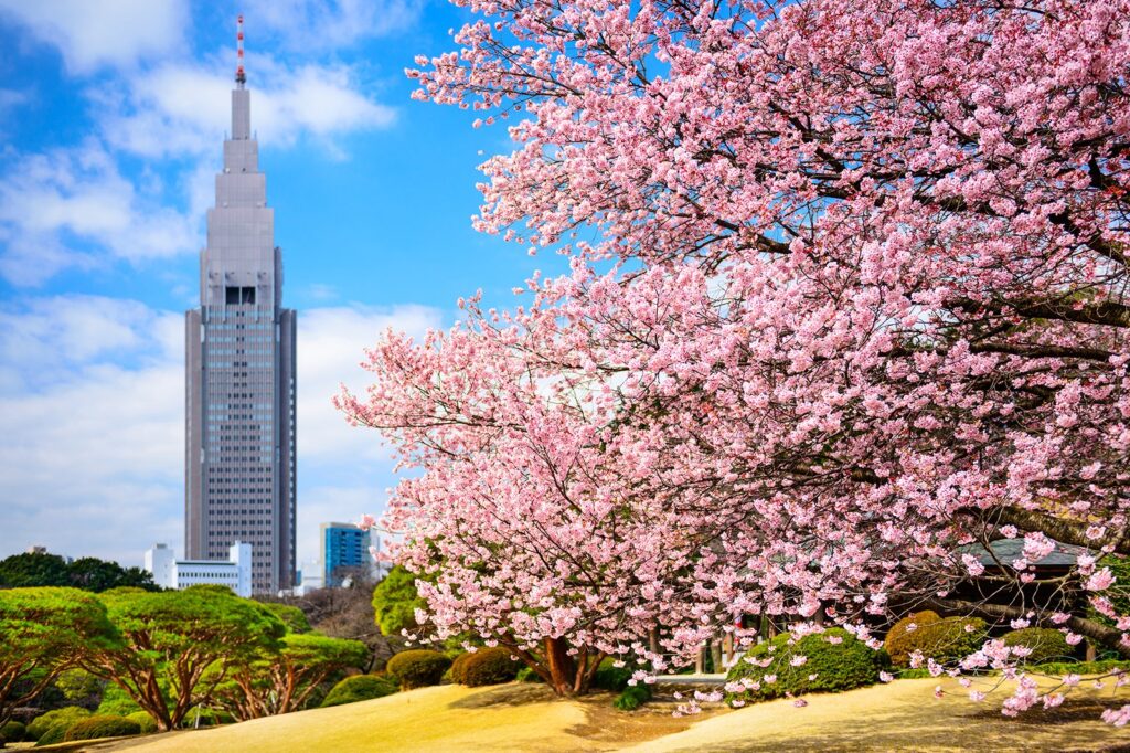 What is the right time to visit Tokyo?